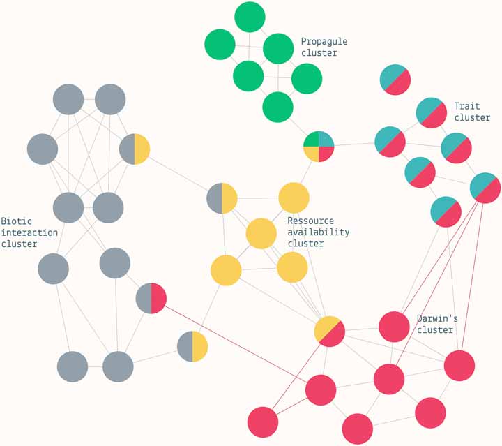 Some clusters of invasion hypotheses inside an interactive network. Screenshot.